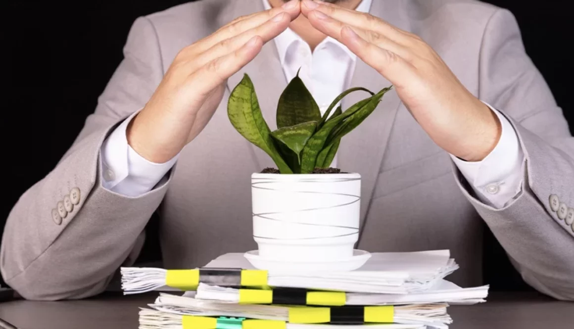 wpis do BDO kto musi – obowiązki przedsiębiorców w 2026