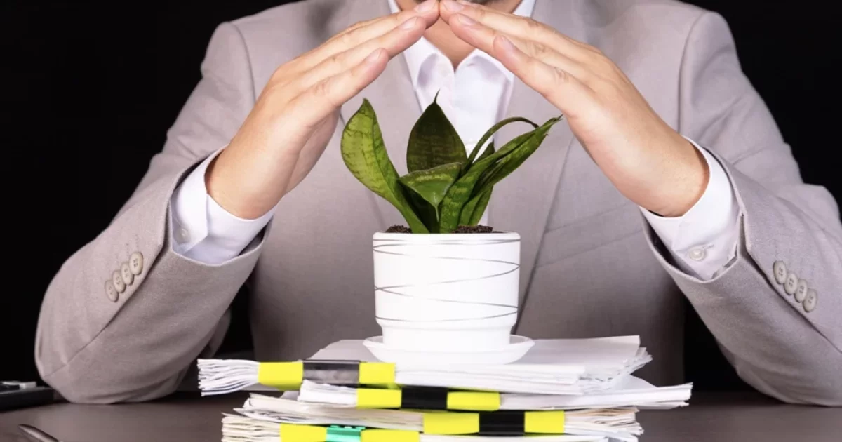 wpis do BDO kto musi – obowiązki przedsiębiorców w 2026