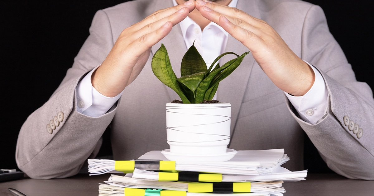 wpis do BDO kto musi – obowiązki przedsiębiorców w 2026